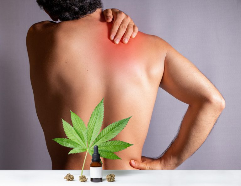 OHSU Researchers Surprised by Lack of Data on Cannabis Pain Relief