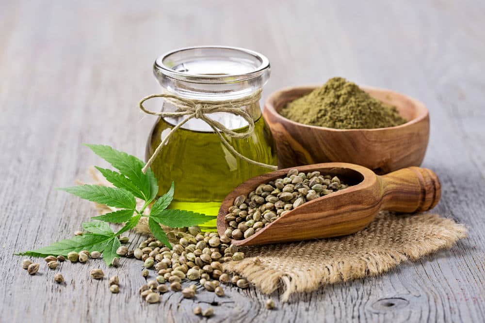 Cannabis, Hemp, CBD, and THC: Isn't It All the Same