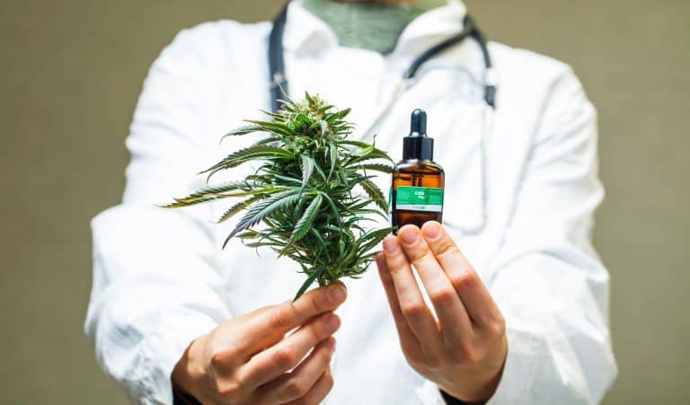 Why Medical Cannabis Is Referred to as a Less Harsh Medicine
