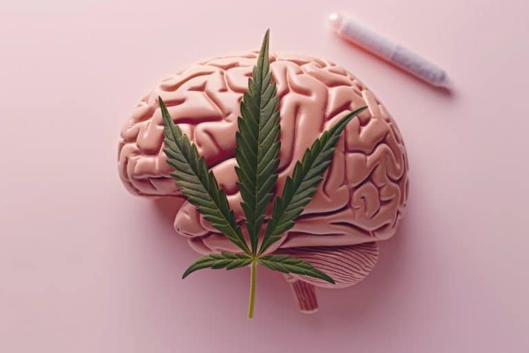 Science May Explain Some of Those Strange Cannabis Thoughts